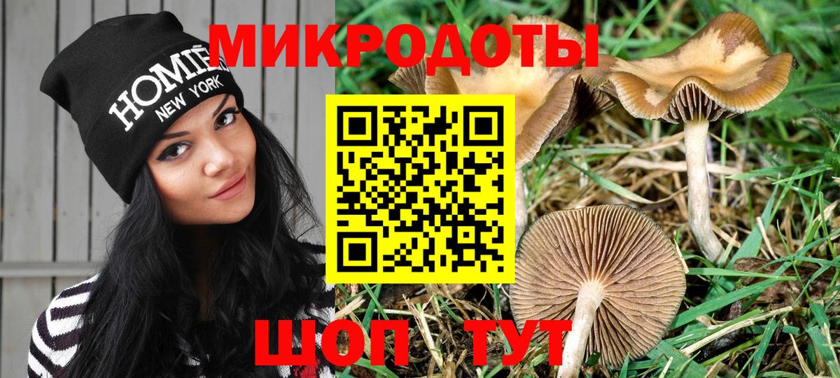 Галлюциногенные грибы ЛСД Кашира