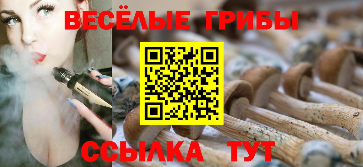 Галлюциногенные грибы прущие грибы  Вход с VPN  Кашира 