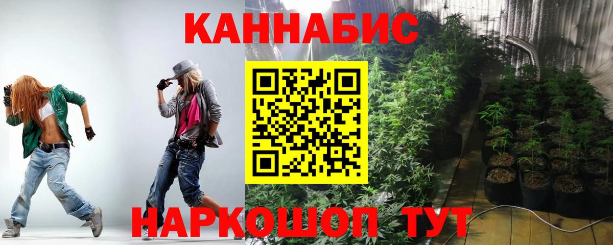 Кашира  Каннабис план  Вход с VPN  МАРИХУАНА семена  Марихуана Amnesia 